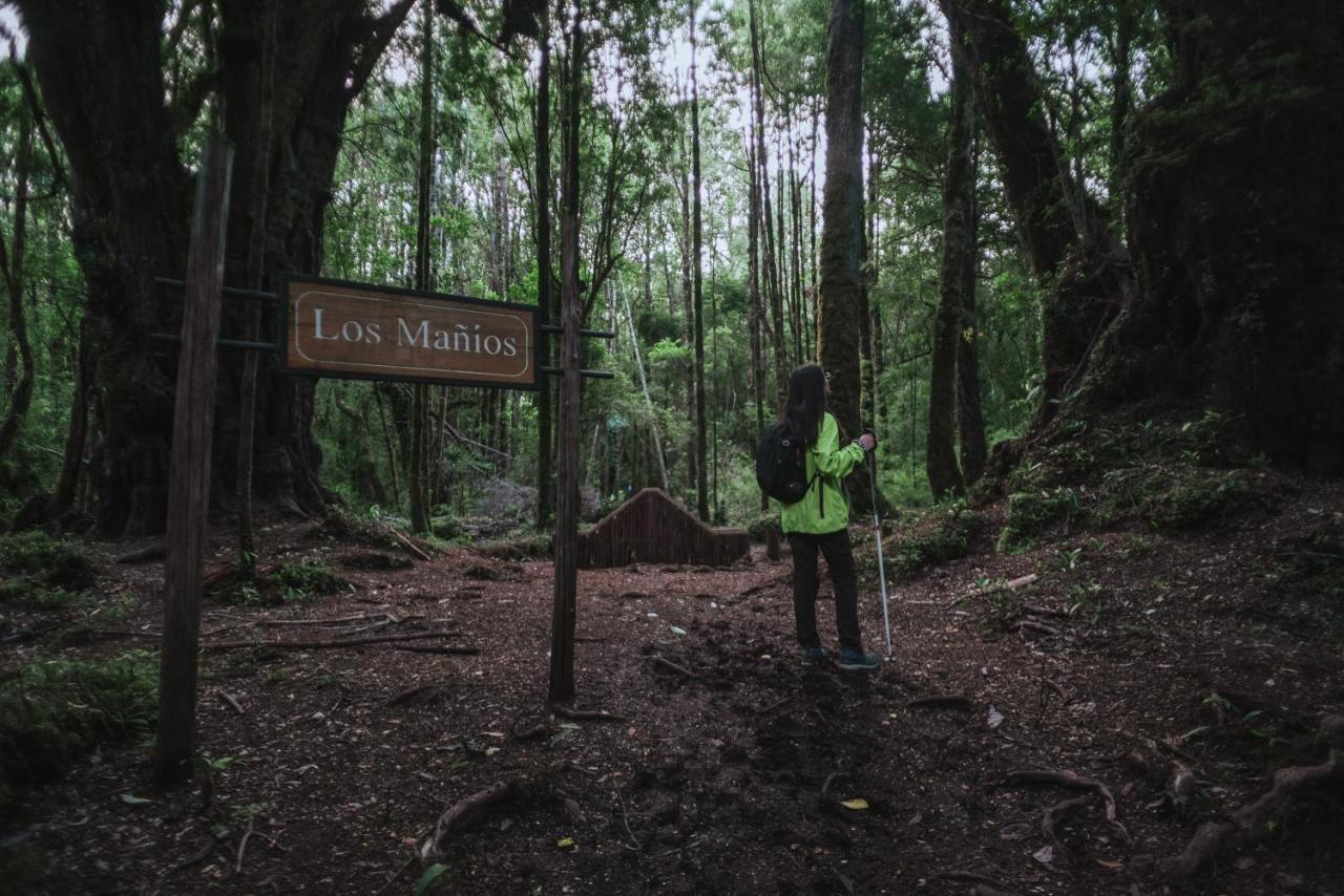 Alojamento Parque Tepuhueico Castro